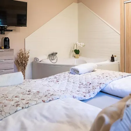 Balaton Fantasy Guest house 4*